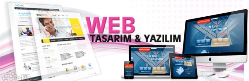 Web Sitesi Hizmetleri